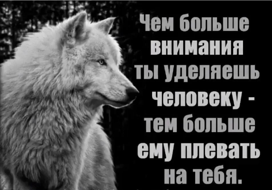 Он уделял много внимания просвещению. Плюнуть в душу картинки. Люди которые плюют в душу цитаты. К человеку с душой а он. Людям плевать на тебя.