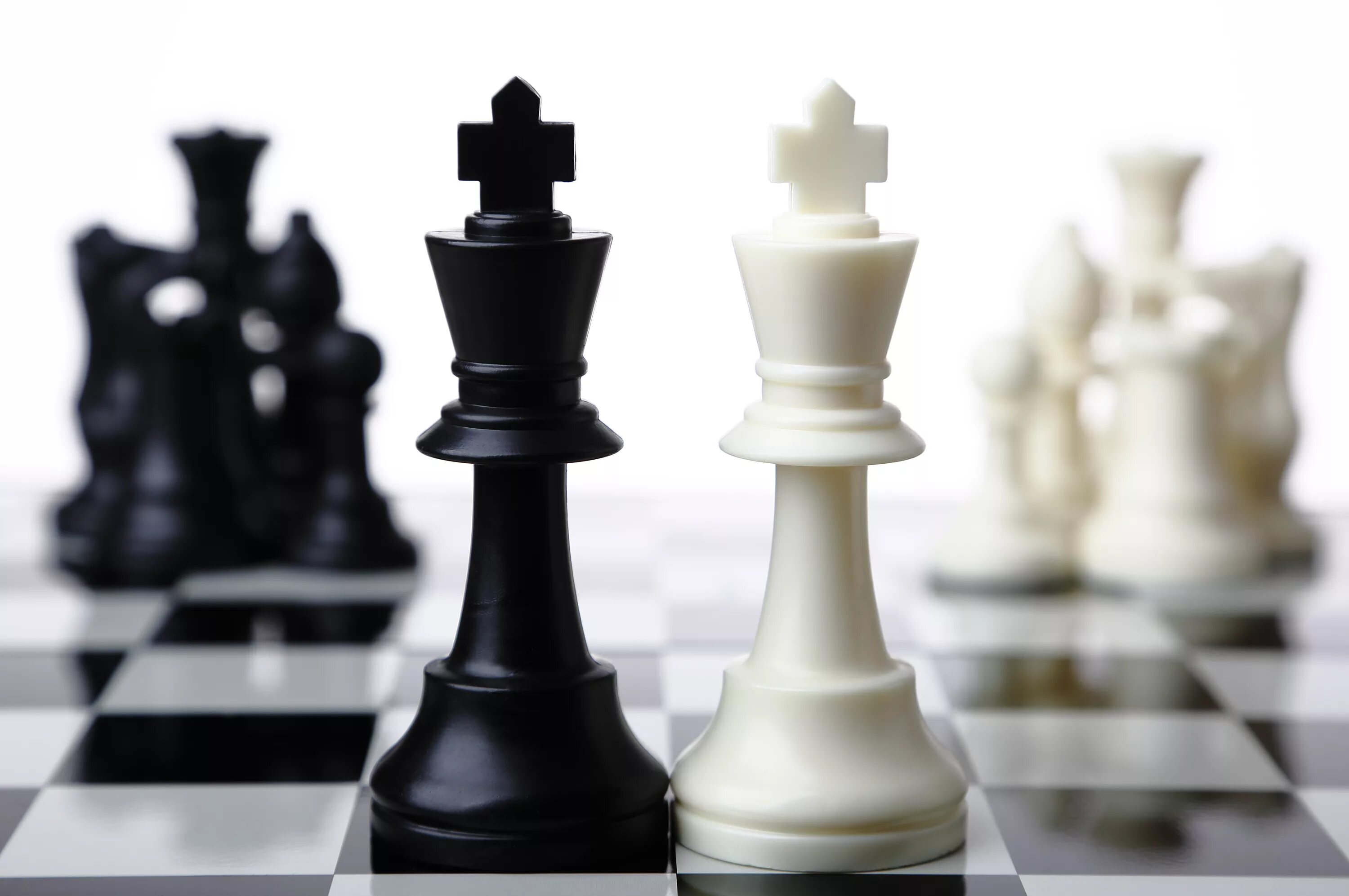 На шахматной доске 5 белых фигур. Шахматы черный Король белый ферзь. Король и ферзь в шахматах. Шахматные фигуры Король и ферзь. Шахматная Королева ферзь.