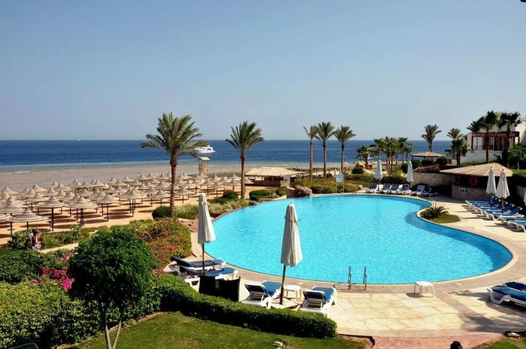 Palace шарм эль шейх. Отель альбатрос palace шарм-эль-шейх. albatros palace sharm 5 египет. fun sun albatros palace 5 египет шарм-эль-шейх. albatros palace ex cyrene grand 5 шарм-эль-шейх.