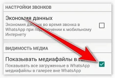 Почему не работает ссылка в ватсап