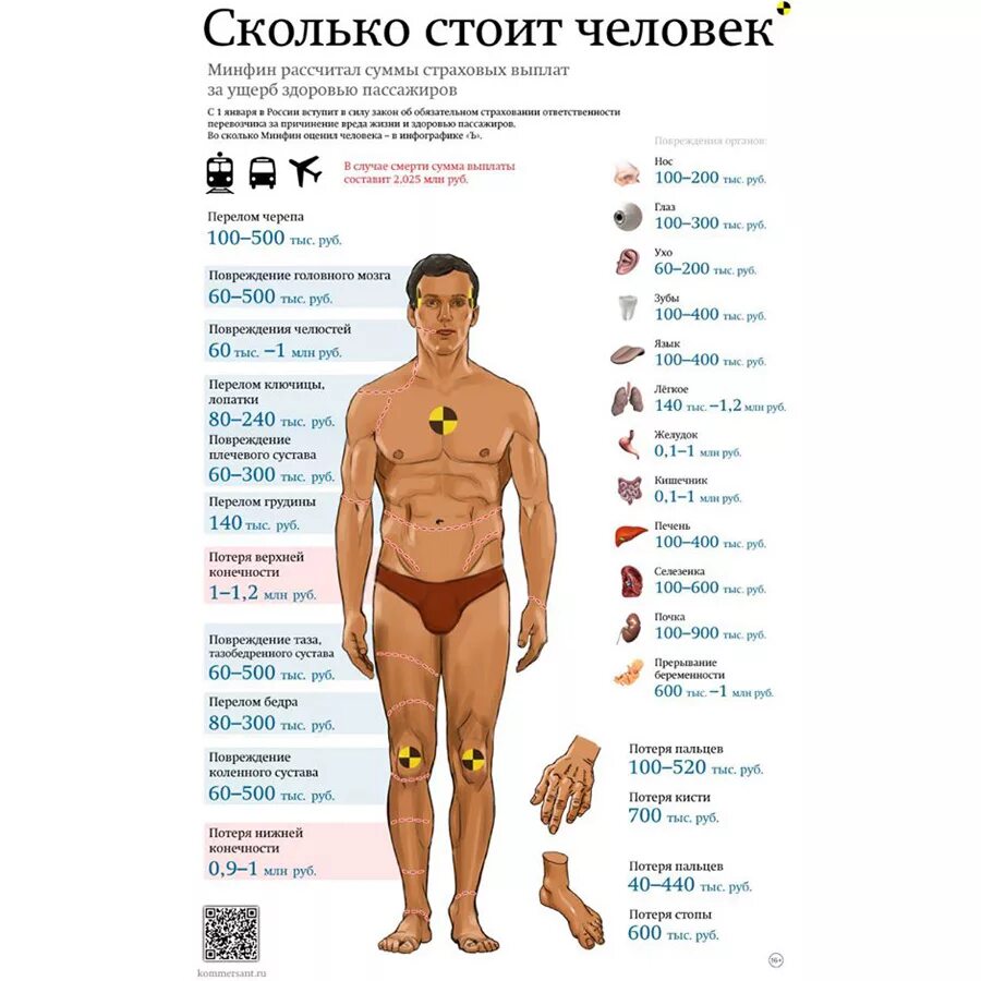 Сколько стоит человек. Сколько стоят органы человека. Колько сточт органы человека. Стоимость человеческих органов.