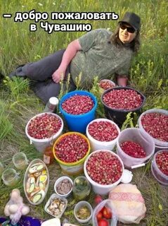 Скажи собирать