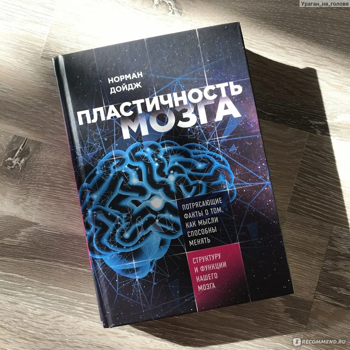 Пластичность мозга книга. Нейропластичность мозга книга. Мозг пластичен