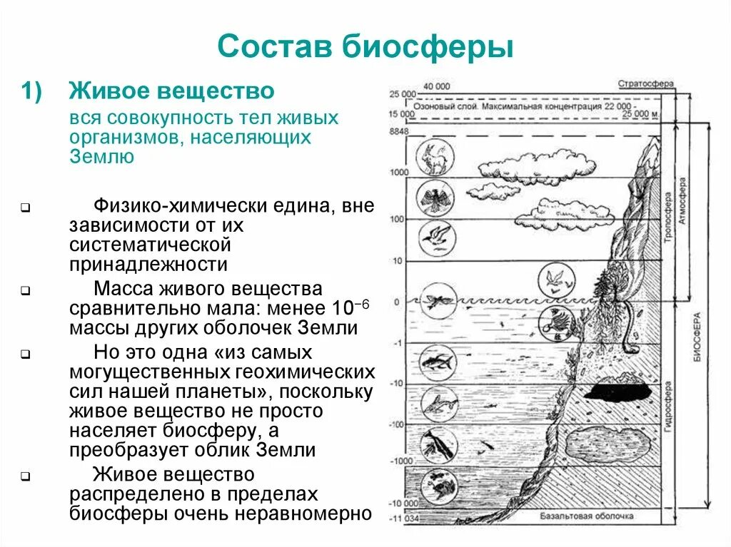 Какие типы веществ выделяют в составе биосферы. Структура биосферы вещество. Состав компонентов биосферы. Структура биосферы таблица. Биосфера состав и строение.