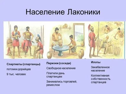 Население спарты 5 класс