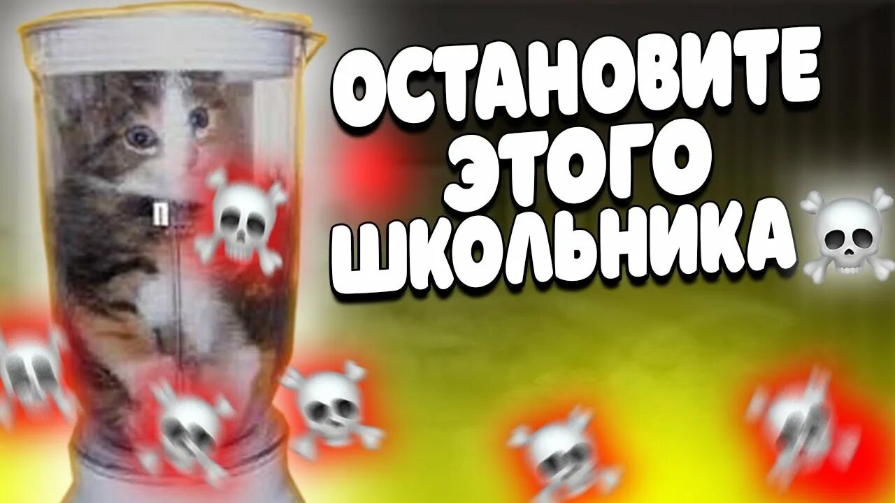 Кот в блендере без замазки видео. Кот в блендере без замазки видео. Кот в блендере мем. Кот в блендере без замазки видео. Кот в блендере без замазки видео.