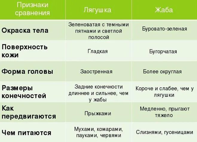 Чем лягушка отличается от жабы 2. Сходство и различие лягушки и жабы 2 класс окружающий мир. сходство лягушки и жабы 2 класс окружающий мир. сходства лягушки и жабы 2 класс окружающий мир сходства и различия. зелёные страницы 2 класс окружающий мир сравнение лягушки и жабы.