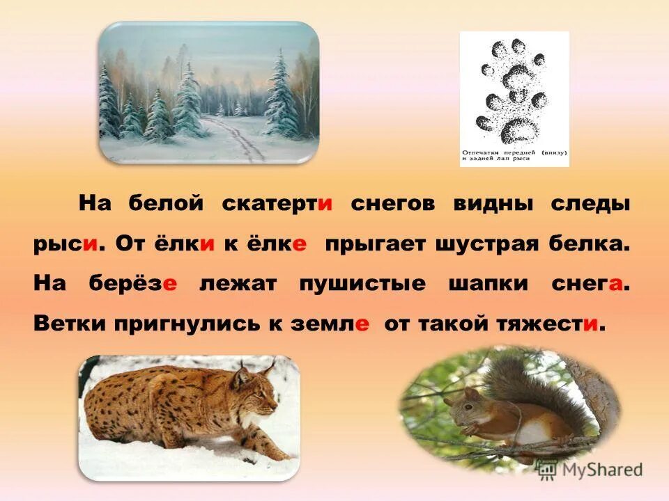гдз по русскому языку 167. гдз по русскому упражнение 167. на скатерти снегов видны. на белой скатерти снегов видны следы. соколов-микитов иллюстрации г.