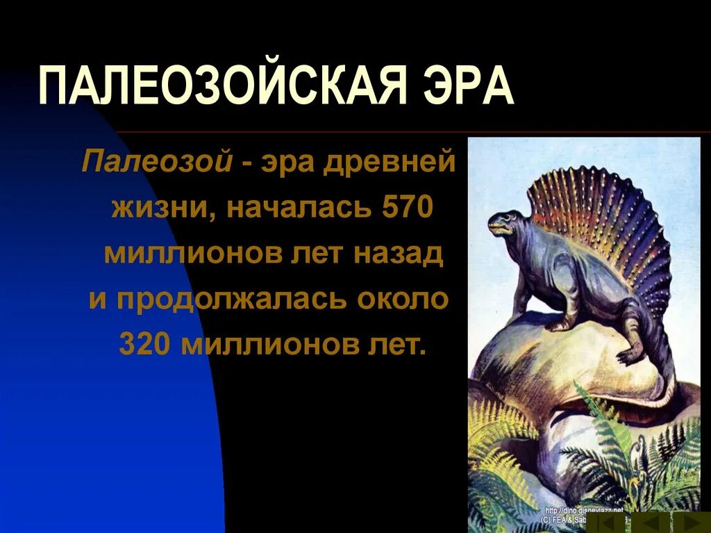 Палеозой кратко. Палеозойская Эра началась 570 млн лет назад. Палеозой периоды. Палеозой Эра. Палеозойская Эра Эра.