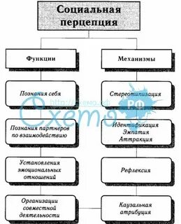 1 социальная перцепция