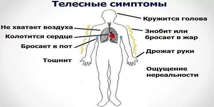 Резко бросает в пот причины