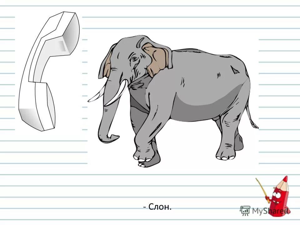 Слоник на слоги. Размеры слона. Слоны ударение. Как пишется по английски слон. Слонов ударение и схема.