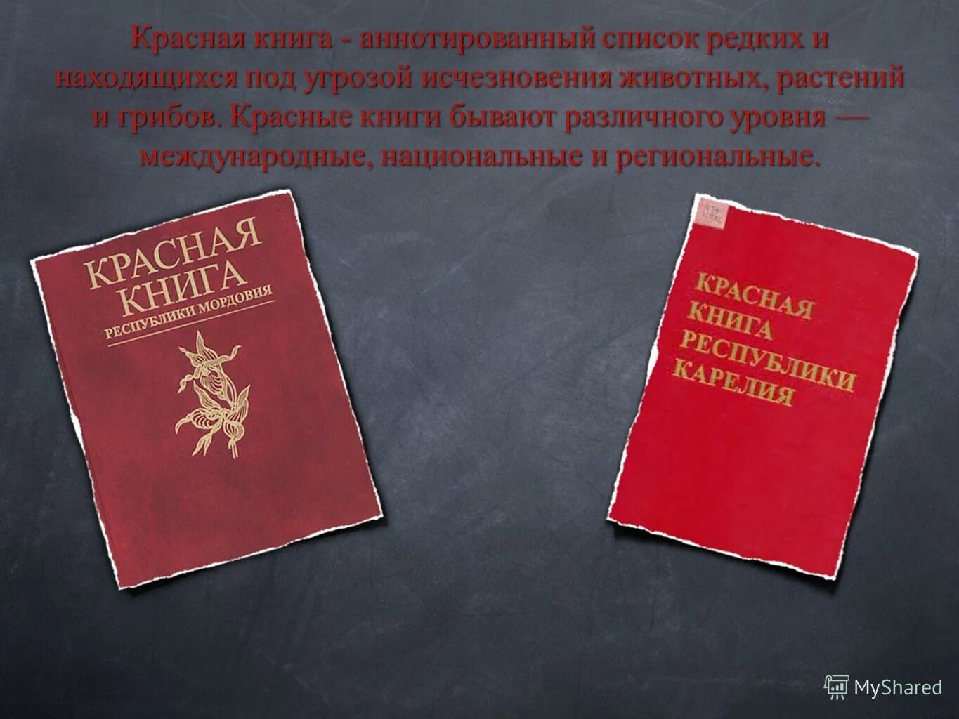 Создание красной книги. Список редких. Красная книга россии. Международная красная книга. Красная книга.