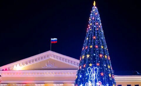 Ели томск