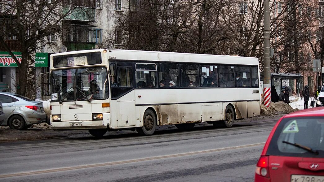 Автобус 5 куйбышев. Владимирский автобус. Автобус 898. Автобусы Зебра ТВ ОКТО.