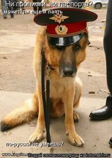 На вашу службу