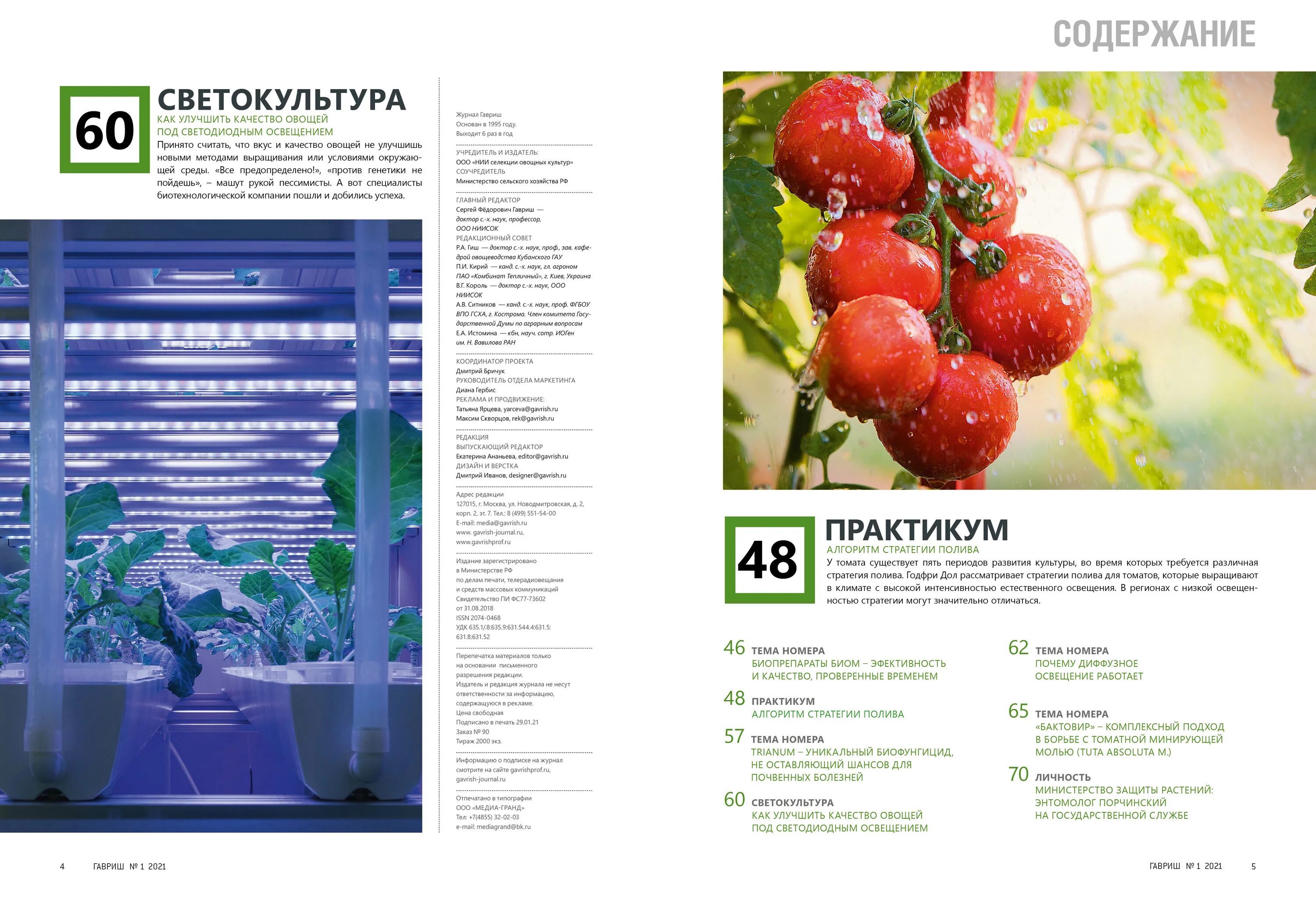 сайт фирмы гавриш. гавриш салат дубрава. семена салат алые паруса. семена гавриш. сайт фирмы гавриш.