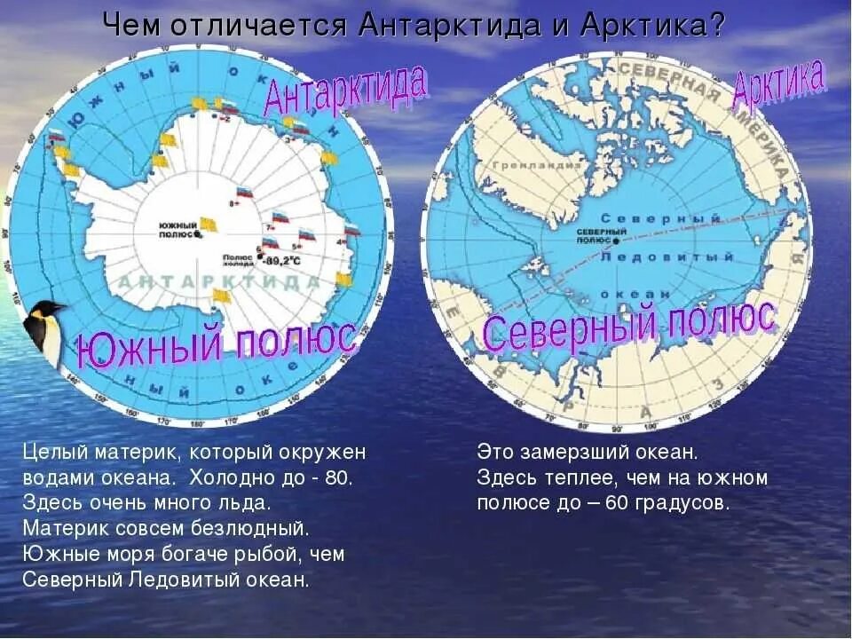 Жизнь на 2 полюса. Арктика и Антарктида. Антарктика и Антарктида. Антарктика и антракмтмла. Арктика Антарктика Антарктида.