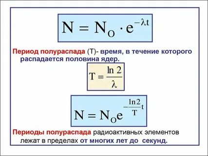 В сухой период они находятся в состоянии
