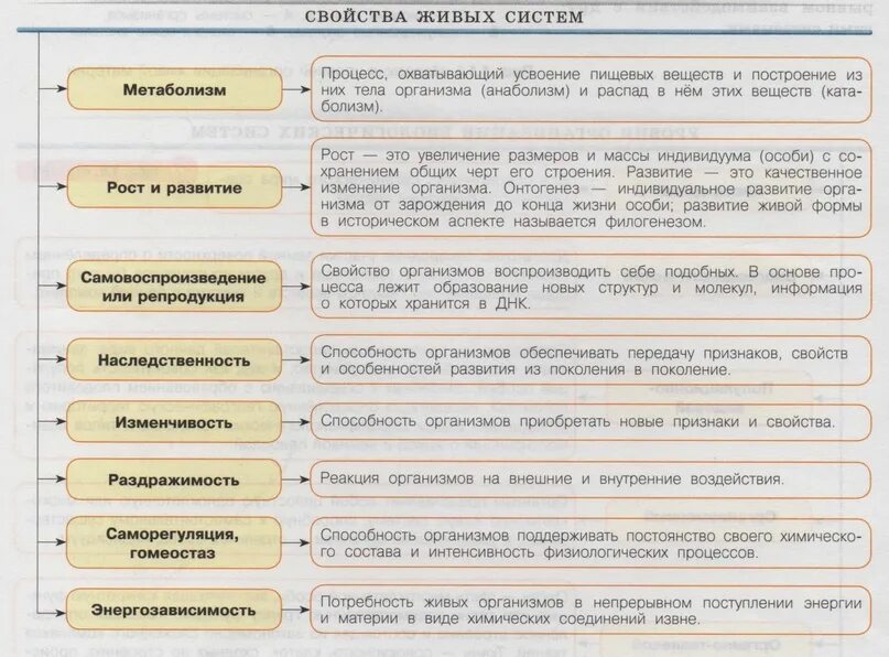 Признаки живых систем. Свойства живых систем. Основные свойства живых систем. Признаки и свойства живых организмов.