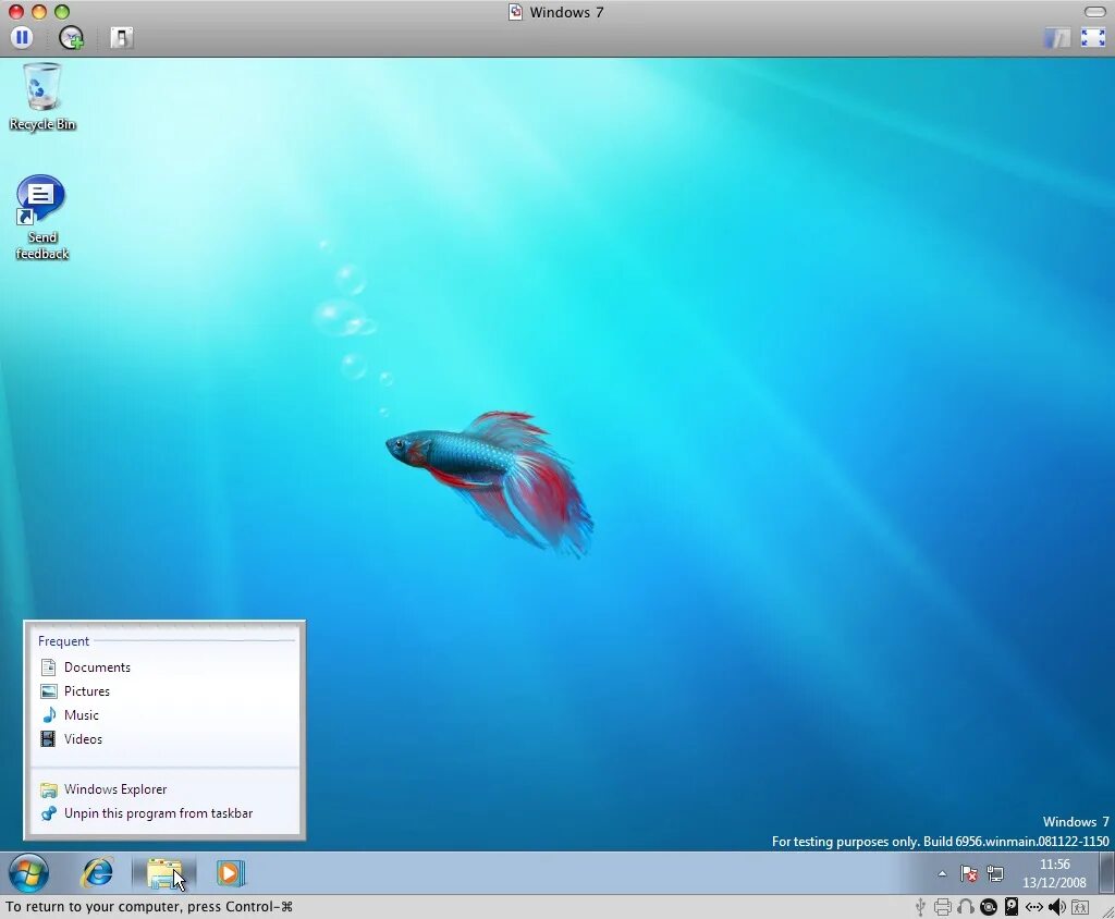 Windows 7 build 6801. Рыбка windows. обои на рабочий стол рыбки. рыбки на голубом фоне.