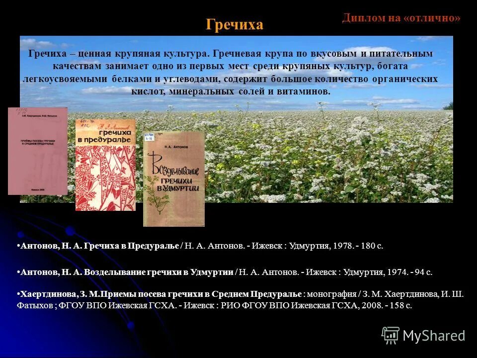 гречиха требования к теплу. гречиха требования к теплу. районы возделывания гречихи. условия возделывания гречихи. районирование сорта гречихи.
