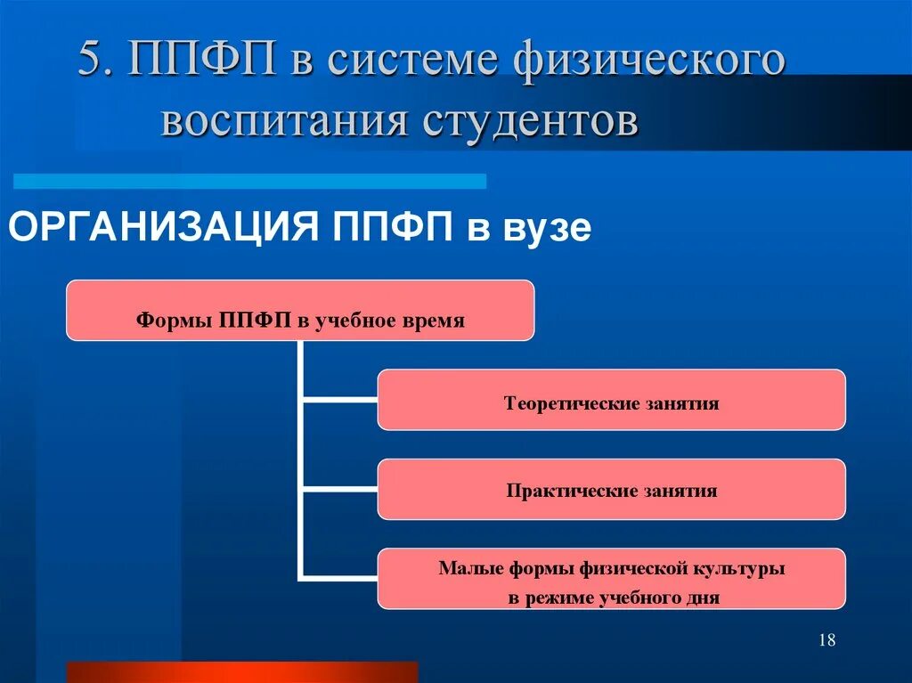 Основная форма физического воспитания в вузе. Формы организации занятий по физической культуре в вузе. Формы организации физического воспитания в вузе.. Формы профессионально-прикладной физической подготовки. Прикладное направление физической