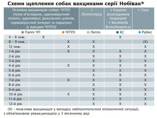 Таблица прививок щенка. График прививок для щенков. План вакцинации щенков. График прививок щенкам до года. Прививки для щенков график