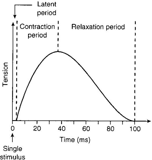 Latent period. Latent.