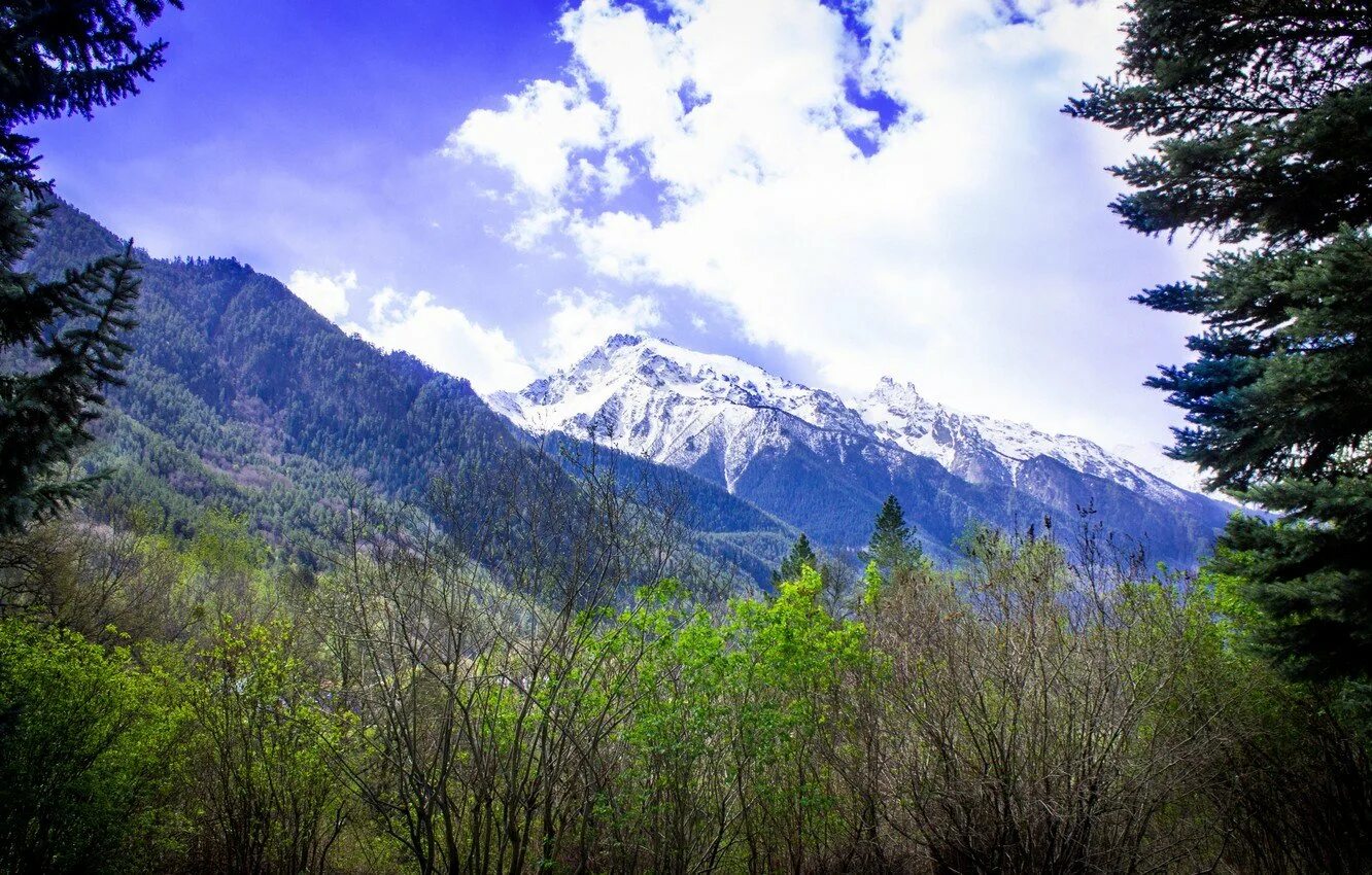 Горы архыз,теберда, домбай. Теберда архыз. Горы в теберде курорт. Горы кавказа теберда. Горный теберда.