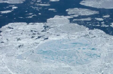 The sea ice