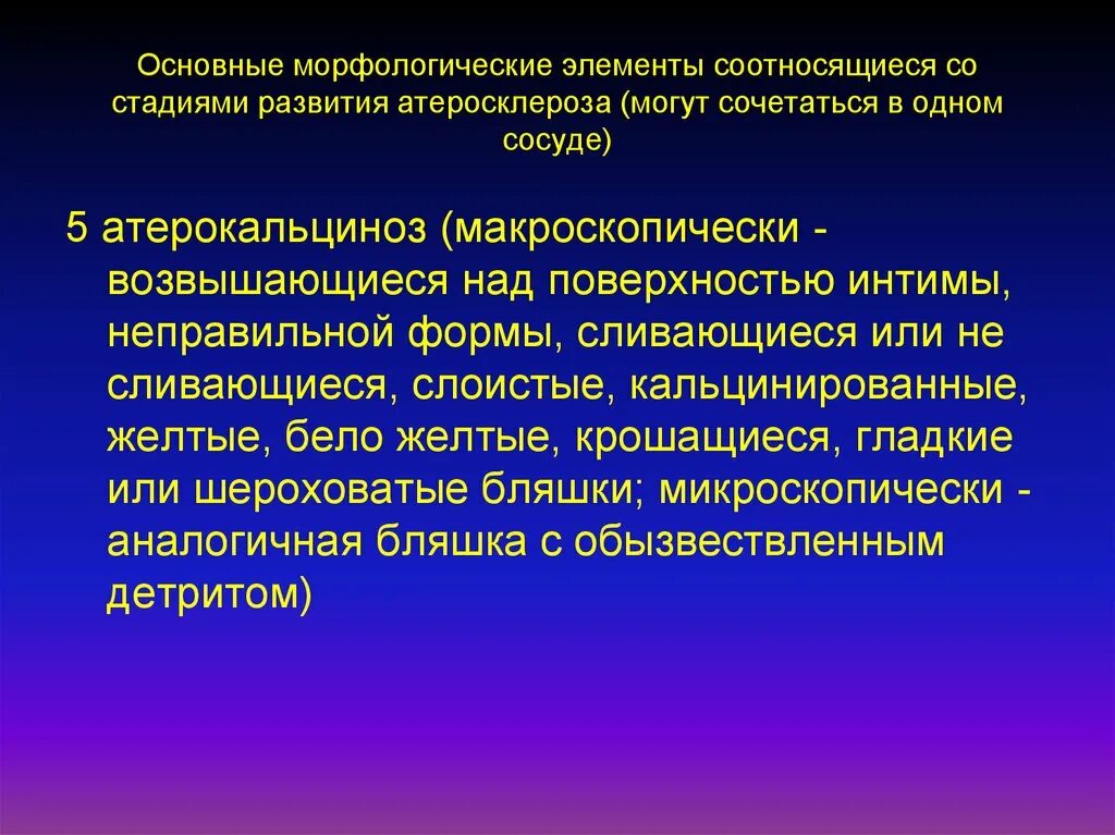 Первичным морфологическим элементом является