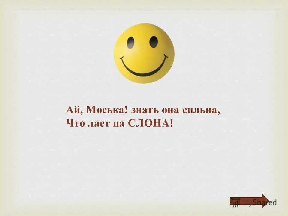 Моська фото. Смешная морда мопса. Моська это лицо. Моська рисунок. Моська из басни крылова.