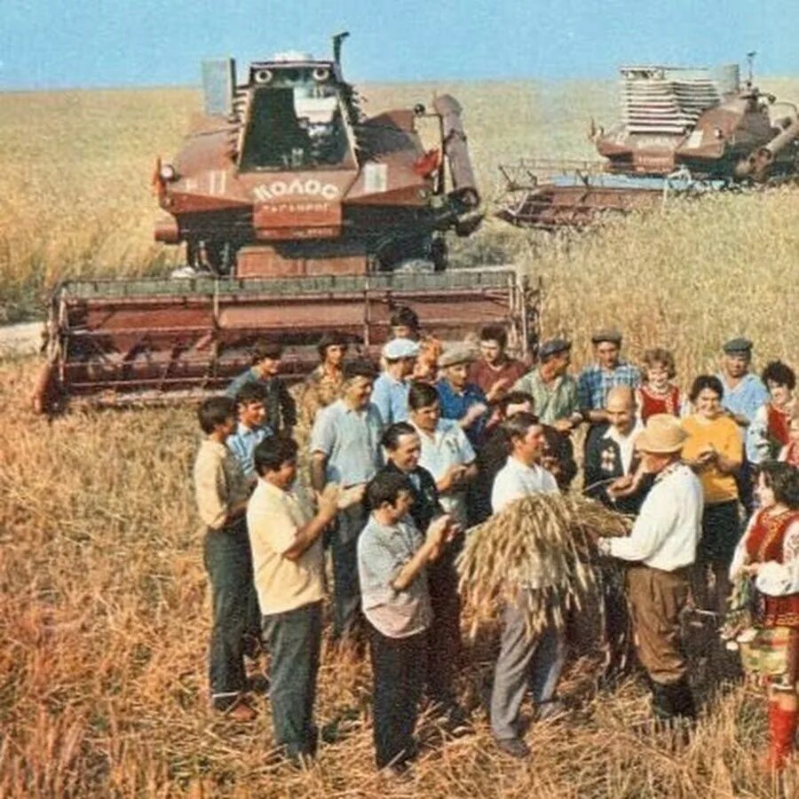 Слушать колхоз. Сельское хозяйство в ссср в 70-80. сельскохозяйственный электрокомбайн ссср. уборка урожая в ссср. жатва в колхозе.