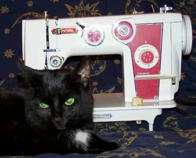 Sewing cats