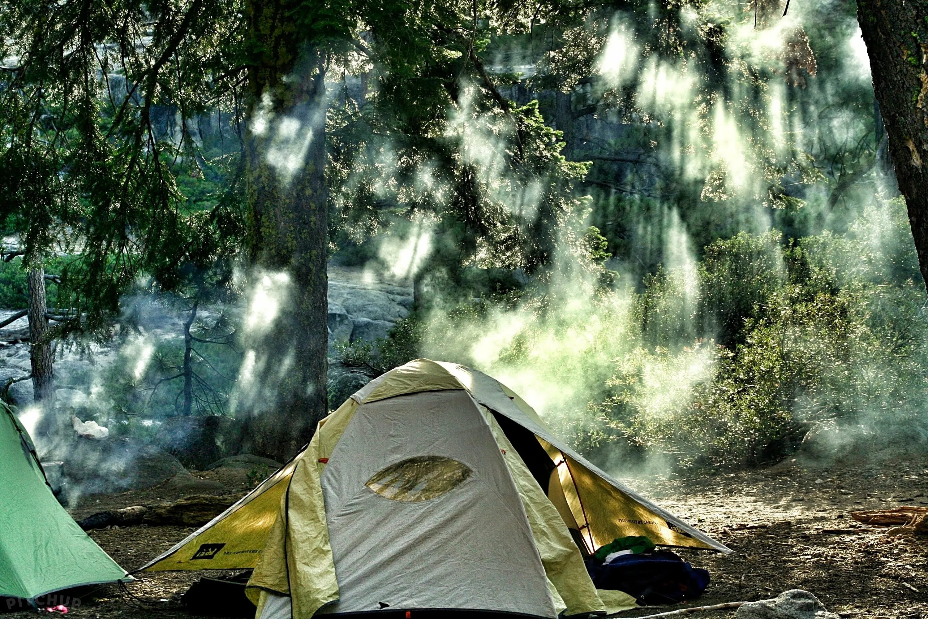 Camping photo. Палатка. Туристическая палатка на природе. Туризм с палатками. Палатка в джунглях.