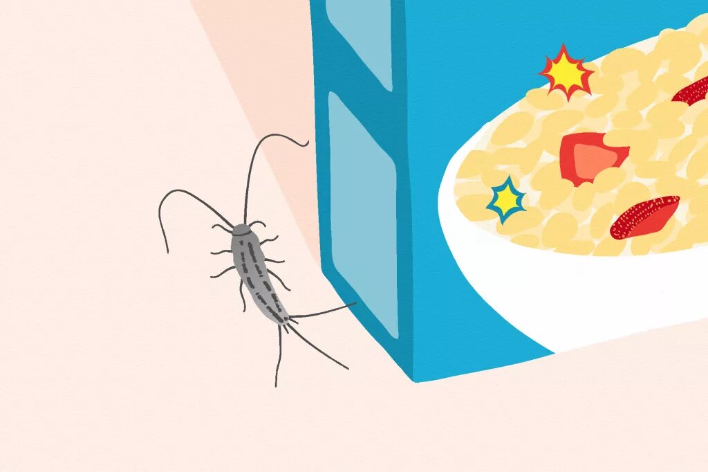 Get rid of adds. Silver fish bug. to get rid of. get rid of.