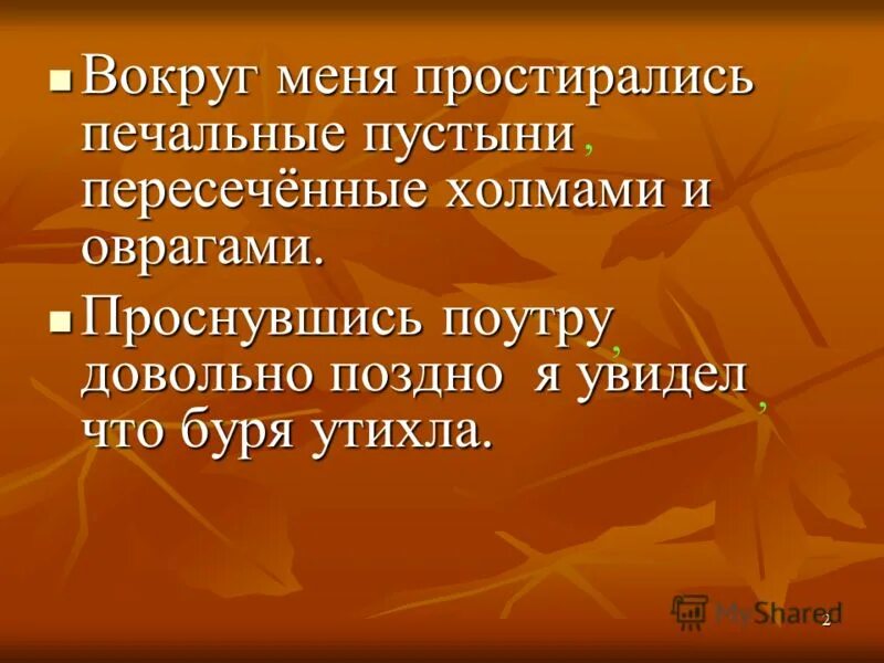 Вокруг меня простирались печальные