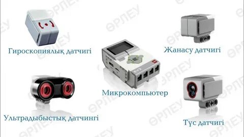 Порно бөксесі бар колготкиде жүреді