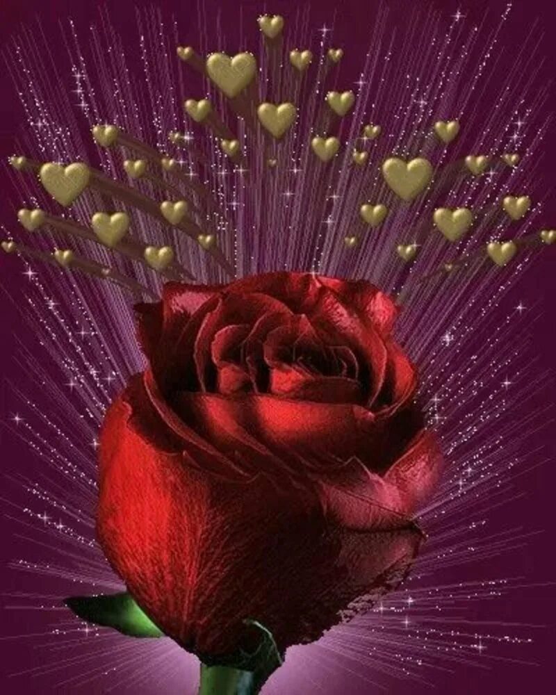 Красивые картинки гифки. Мерцающие розы. Красивые анимационные цветы. Гифки цветов. Искрящаяся роза.