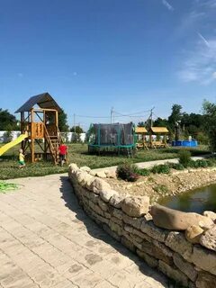 Золотая рыбка липецкая область