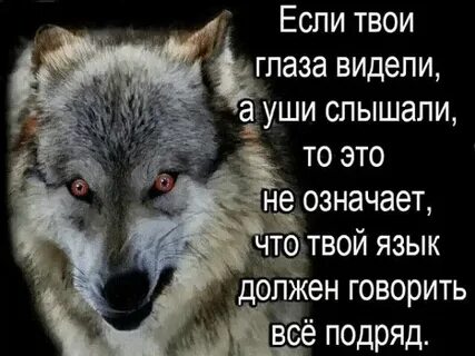 Сколько жизней сломал язык