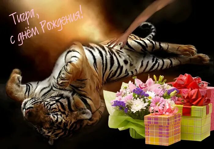 С днем рождения тигр. Открытка с днём рождения с тигром. С днем рождения тигрица. Тигра поздравления с днём рождения.