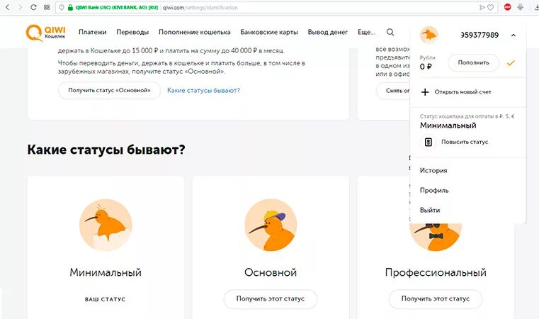 Киви суд. Статусы киви кошелька. Профессиональный статус киви. Профиль киви кошелька. Идентификация киви кошелька.