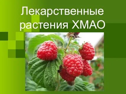 Растения югры