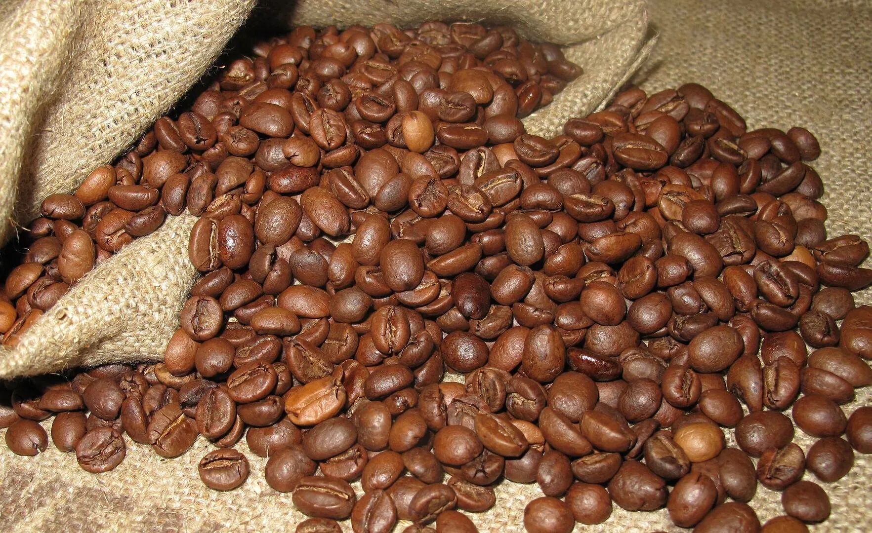 Вкусные сорта кофе. Кофе Арабика. Кофе Арабика в зернах. Сорта кофе Арабика. Кофе зерновой Арабика и Робуста.