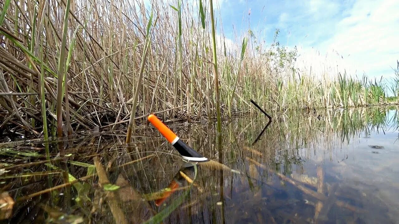 Рыбалка на маховую удочку. Рыбалка на поплавочную удочку на карася в камыше. Рыбалка на карася в камышах. Рыбалка в камышах на поплавочную удочку. Рыбалка на поплавок в камышах.