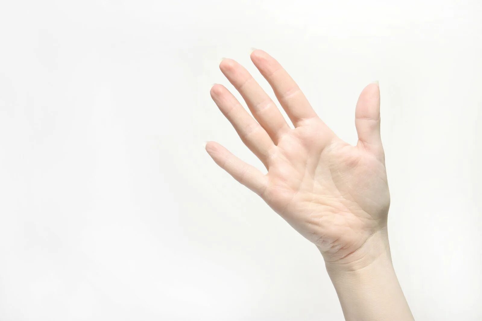 Hand up call. Hand up call