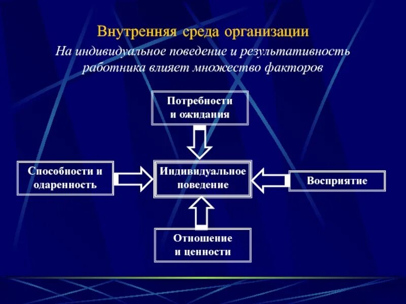 Индивидуальное поведение. Внутренняя среда поведения. Механизмы поведения. Потребности и ценности как организующие факторы восприятия. Индивидуальное поведения в организации