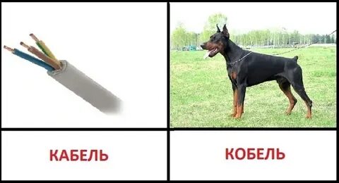 Ты смотрела налево ты простой кабель